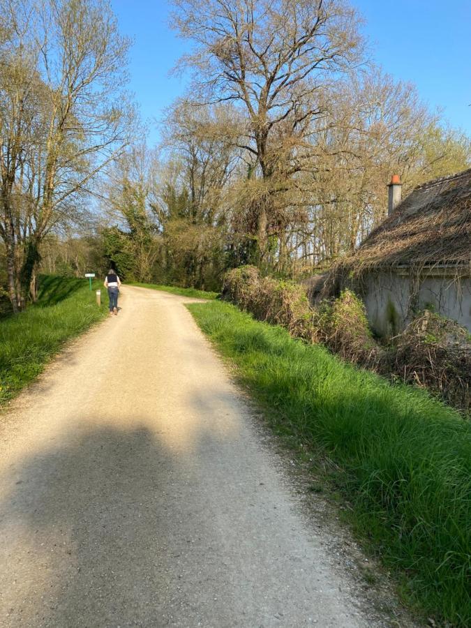 Studio Indre Climatise, La Halte De Cuze, Aux Abords De La Loire A Velo Huismes Luaran gambar