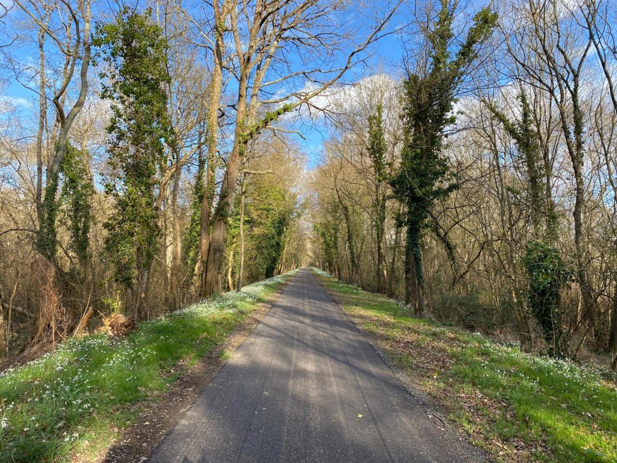 Studio Indre Climatise, La Halte De Cuze, Aux Abords De La Loire A Velo Huismes Luaran gambar