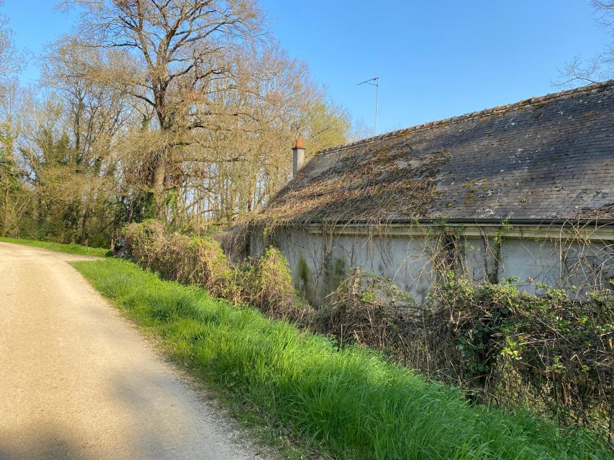 Studio Indre Climatise, La Halte De Cuze, Aux Abords De La Loire A Velo Huismes Luaran gambar